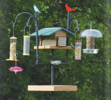 Wild Birds Unlimited opens for birdwatchers on Westheimer Parkway