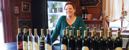 Emily McRoberts owns Homestead Winery in Grapevine, which has been open for 18 years.