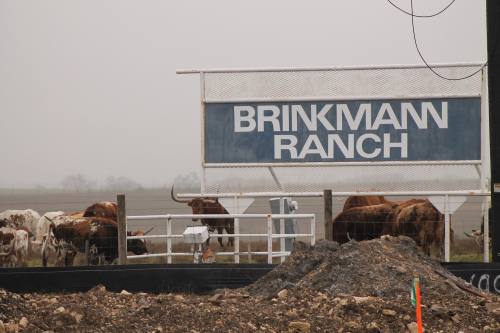 A proposed development on Brinkmann Ranch is planned to have patio homes.