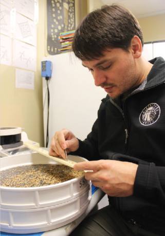 Brandon Ade, owner of Blacklands Malt in Leander, tests raw rye grain for quality.