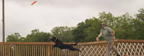 Starmark Training and Behavior Solutions entered new foreign markets in 2015.