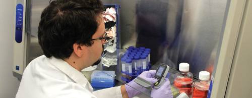 A Molecular Templates employee prepares equipment to complete research.n