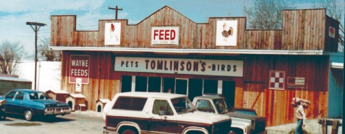 Tomlinsonu2019s Feed began as a chick hatchery before transitioning to an animal feed store as shown in this photo from 1971.