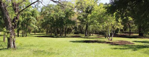 The Austin Parks Foundation turns 25 this year.