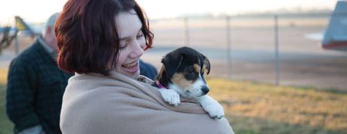 Nonprofit organization Operation Pets Alive helps place rescued dogs and cats in foster homes.