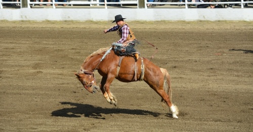 Rodeo stock image
