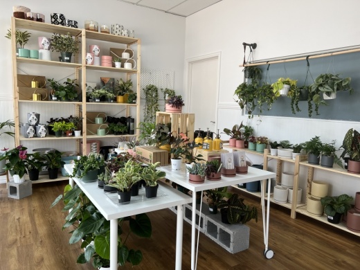 Dote On offers a variety of interior tropical plants, supplies and gifts that Burton said have been hand selected, while keeping both the Earth and customers in mind. (Courtesy Dote On)
