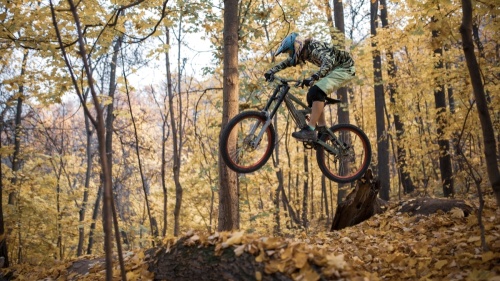 person riding sports bike on track through forest