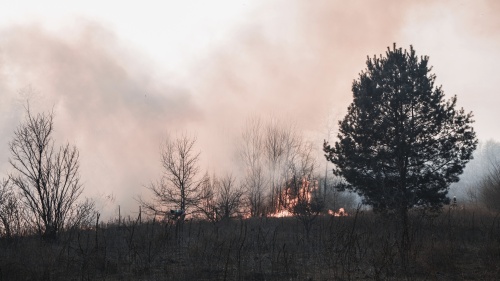 Travis County is under a burn ban, effective May 11. (Courtesy Pexels)