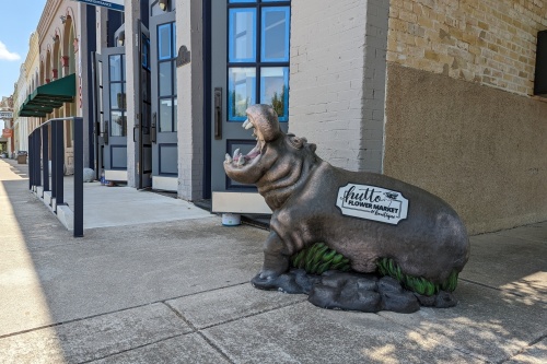 Photo of hippo statue with "Hutto Flower Market" painted on side