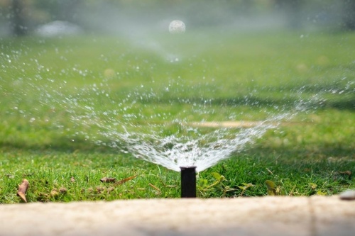 City of Frisco issues weekly watering advice for residents. (Courtesy Unsplash)