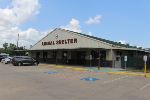 A low building with a triangular roof. Animal Shelter is written in red capital letters on white panels on the front of the building.
