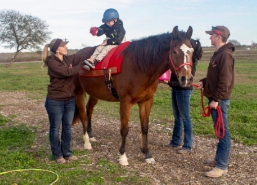 The vision of the nonprofit began in Dripping Springs with only one horse, six riders and a handful of volunteers,  (Rachal Russell/Community Impact Newspaper)