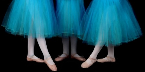 ballerina tutus kelly peterson's dance company spring