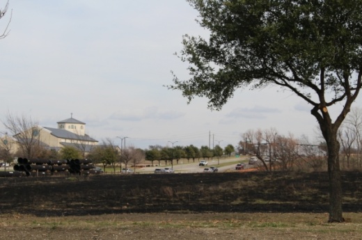 The Frisco Fire Department oversaw a prescribed burn Feb. 17 at Freedom Meadow, which is at the northeast corner of the Warren Sports Complex. (William C. Wadsack/Community Impact Newspaper)