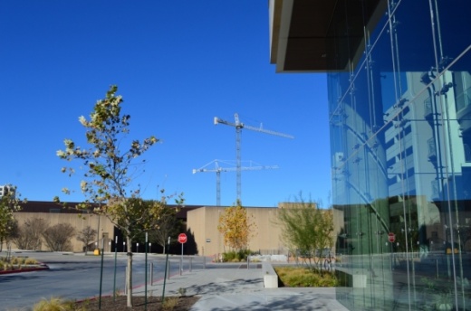 As Austin continues attracting more new residents and jobs, companies are vying for the limited amount of available office space. (Iain Oldman/Community Impact Newspaper)