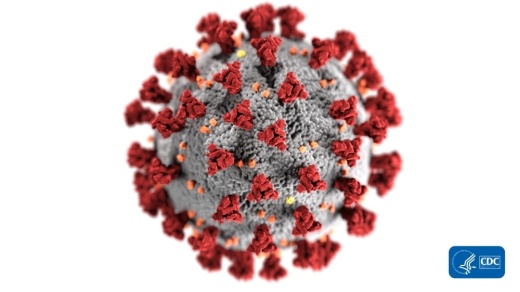 COVID-19, commonly referred to as the novel coronavirus disease, has been confirmed in 60 individuals in the U.S. as of March 3. (Rendering courtesy U.S. Centers for Disease Control and Prevention)