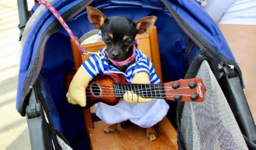 (Courtesy New Braunfels Parks and Recreation Department)