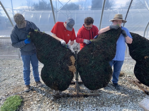 Hugs Greenhouse is backing a project, featuring two, four-foot wide topiaries shaped like butterflies. (courtesy Hugs Greenhouse)