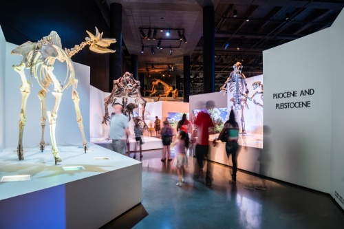 The Houston Museum of Natural Science is among the institutions closed until further notice as public gatherings are being discouraged amid the coronavirus outbreak. (Courtesy Visit Houston)
