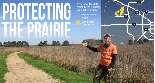 Volunteer Julie d’Ablaing teaches about the prairie at the Katy Prairie Conservancy’s preserve. (Photo by Jen Para/Community Impact Newspaper; Design by José Dennis/Community Impact Newspaper)