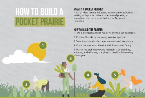 Pocket Prairie