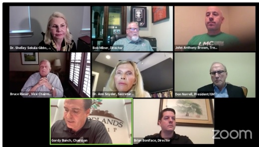 The Woodlands Township held its March 25 meeting through a Zoom teleconference in keeping with social distancing requirements. (Screenshot via The Woodlands Township)