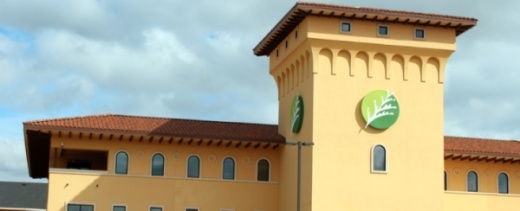 Cedar Park City Council unanimously voted to delay the local election during its March 26 meeting.