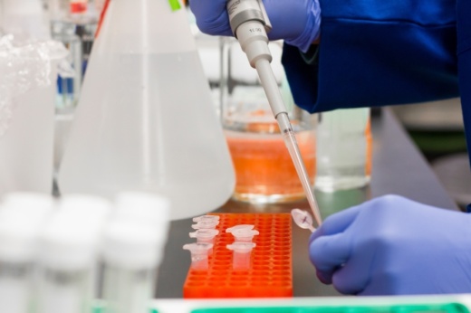 UTHealth and Memorial Hermann are seeking blood plasma donations from COVID-19 survivors to find ways to combat the viral disease. (Courtesy Pexels)
