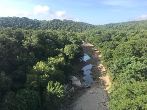 The Hill Country Conservancy will provide a number of virtual guided hikes through its website and social media outlets. (Nicholas Cicale/Community Impact Newspaper) 