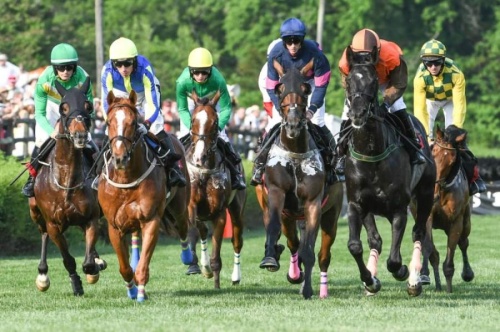 Iroquois Steeplechase will not be held this year at Percy Warner Park. (Courtesy of Iroquois Steeplechase) 
