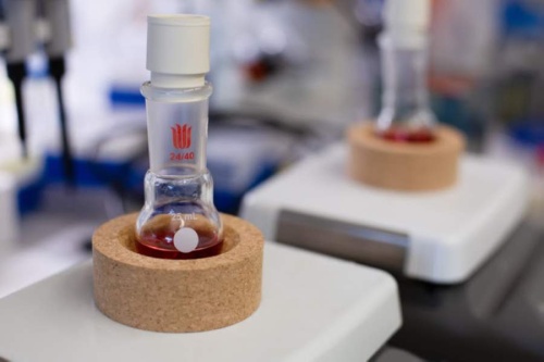 According to UT Dallas, gold nanoparticles are synthesized through a process that involves boiling the materials in a flask placed on a stirring hot plate. (Courtesy UT Dallas)
