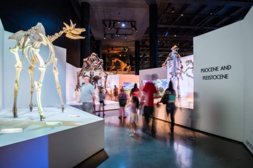 The Houston Museum of Natural Science will reopen May 15, but its satellite location in Sugar Land will remain closed. (Courtesy Visit Houston)