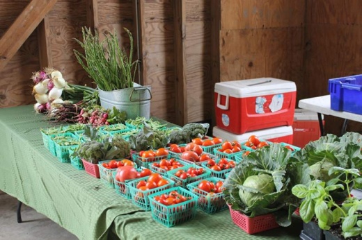 Pflugerville's Pfarmers Market will be open May 5 for produce, meat and prepared food products only, given the coronavirus pandemic. Social distancing and face masks will be required, with limits on the number of customers allowed in the market at a time. (Courtesy city of Pflugerville)