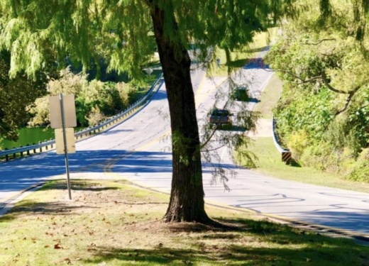 One of the proposed projects for the Lakeway Trail Connectivity Plan is to begin a sidewalk at the top of the hill at Top of the Lake Drive and end at the top of the next hill at Cold Water Lane. (Screenshot courtesy city of Lakeway)