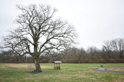 The Williamson County Parks and Recreation Department began reopening select park facilities with limited capacity and operating times on May 4 after COVID-19-related closures. (Alex Hosey/Community Impact Newspaper)