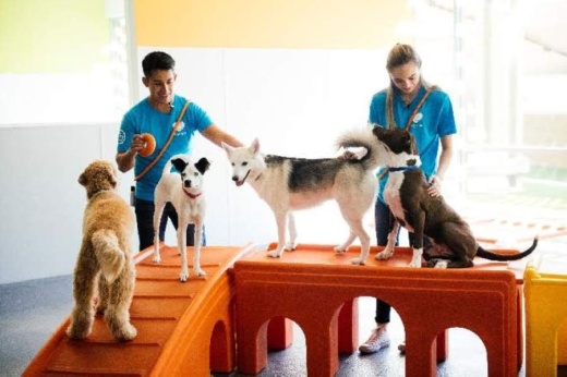 The facility would be located on Southlake Boulevard in Southlake. (Courtesy Dogtopia)
