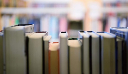 Plano public libraries began offering returns for books as well as holds and pickups for specialty items the week of May 4. (Courtesy Adobe Stock)