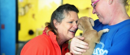 Houston nonprofit Houston PetSet has launched a new program with partners Westbury Animal Hospital and Houston Dog Ranch to provide animal shelter for pets of domestic violence survivors. (Courtesy Houston PetSet)
