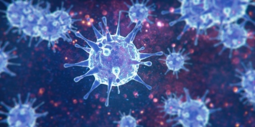 Galveston County reported its first coronavirus-related death in a week over the Memorial Day weekend. (Courtesy Adobe Stock)