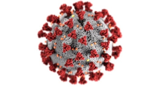 Currently, eight patients are hospitalized, per the report. (Courtesy Centers for Disease Control and Prevention)
