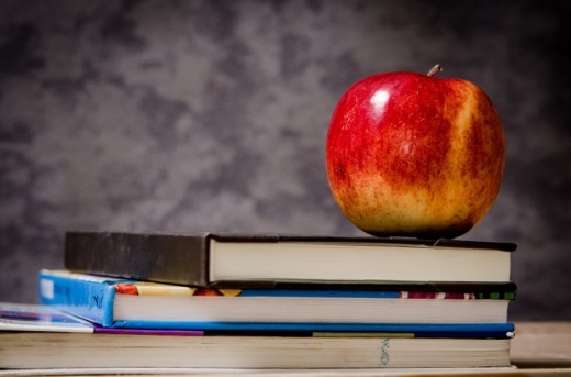 Eanes ISD officials approved the 2020-21 compensation and benefits plan during a June 23 meeting. (Courtesy Pexels)