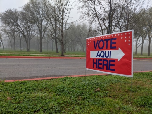 Early voting for the 2020 primary runoff and special elections begins June 29. (Iain Oldman/Community Impact Newspaper)
