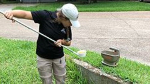 Three West Nile virus-positive mosquito samples were identified in The Woodlands this week. (Courtesy The Woodlands Township)