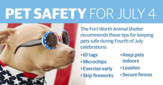 According to the Fort Worth Animal Shelter, more pets are lost on July 4 than any other day of the year. (Katherine Borey/Community Impact Newspaper)