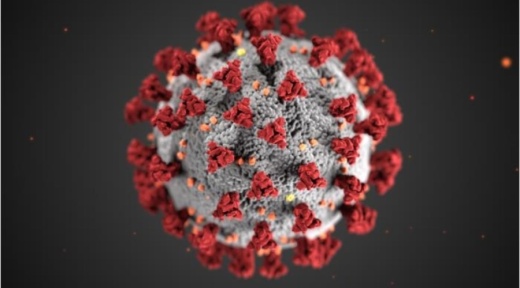 Austin Public Health reported 482 new coronavirus cases in Travis County on July 7, bringing the total to 12,408. (Courtesy Centers for Disease Control and Prevention)