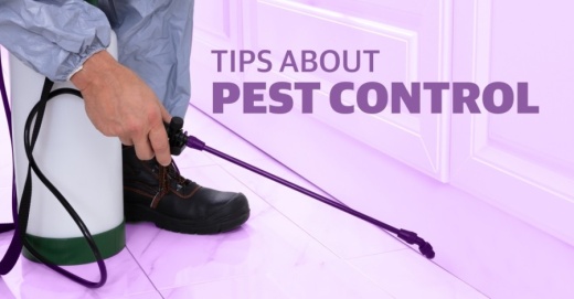Community Impact Newspaper spoke with Steve Durham of EnviroCon Termite & Pest about some tips for homeowners. (Community Impact staff)