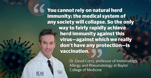 With a clinical background in internal, pulmonary and critical care medicine, Corry has been with BCM for 20 years. He now focuses primarily on inflammatory lung diseases, such as asthma and smoking-related chronic obstructive pulmonary diseases. (Graphic by Ronald Winters/Community Impact Newspaper)