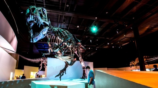 Houston Museum of Natural Science named a new director for the Sugar Land campus and George Observatory on July 15. (Courtesy Visit Houston)