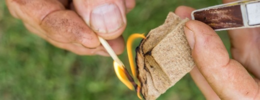 A county-wide burn ban was implemented in Hays County July 21. (Courtesy Fotolia)